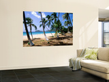 Palm Trees Facing Beach Poster von John Elk III