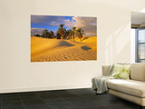 Sand Dunes and Oasis, Desert, Tunisia Art by Peter Adams