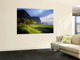 Coastal Landscape, Lord Howe Island, New South Wales, Australia Affiche par Peter Hendrie