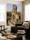 Stone Lion at Pre Rup, State Temple of Rajendravarman Posters par Grant Dixon