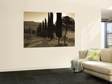 Country Road Towards Pienza, Val D' Orcia, Tuscany, Italy Posters by Doug Pearson