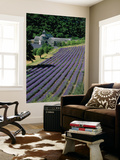 Senaque Abbey and Lavender Fields, Gordes, Provence, France Art by Steve Vidler
