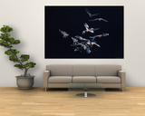 Pack of Spear Nosed Bats in Flight at Yale's Kline Biology Lab Prints by Nina Leen