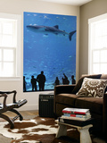 Large Whale Shark Swimming in Tank with People Below at Georgia Aquarium Prints by Frank Carter