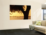 Silhouetted Tree with Fisherman in Canoe on Lake in Background Poster by Frans Lemmens