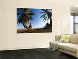 Tourist Reading Book While Sitting on Palm Tree Trunk on Beach, Sinai, Red Sea Poster von Frans Lemmens