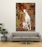 Portrait of Whippet Chosen Best in Show at the 88th Annual Westminster Kennel Club Dog Show Posters by Nina Leen