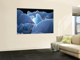 Interlocking Seracs of the Glaciar Torre Posters par Gareth McCormack