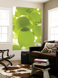 Leaves of Linden Tree, Botanic Gardens Art by Greg Elms