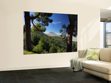 Mt. Teide, Tenerife, Canary Islands, Spain Print by Alan Copson