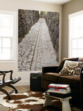Stonework in Narrow Pedestrian Street, Laid Out in Inca Times Posters by Brent Winebrenner
