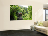 Tourists Riding Elephants Along a Chiang Mai Elephant Camp Trail Posters by Felix Hug