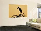 Silhouette of Marabou Stork (Leptoptilos Crumeniferus) Art by Ariadne Van Zandbergen