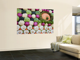 Vegetable Display at Yoyogi Park Agricultural Festival Prints by Gerard Walker