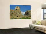 Remains of an Old Fortification Overlooking an Outskirts Dwelling Art by Patrick Horton
