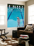 Heron at Pool Prints by Thomas Winz