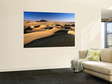 Sand Dunes of Ilekane in Tenere Part of Sahara Desert Near Agadez Kunstdrucke von Frans Lemmens