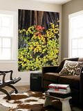 Autumn Colour of Deciduous Beech (Nothofagus Gunnii), Lake Fenton Posters par Grant Dixon