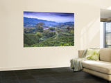 Colombia, Caldas, Manizales, Chinchina, Coffee Plantation at Hacienda De Guayabal at Dawn Prints by Jane Sweeney