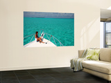 Cruising in Half Moon Caye Park Prints by Uros Ravbar