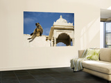 A Monkey on One of Pushkar's Lakeside Temples Prints by Orien Harvey
