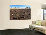 Aboriginal Ceremonial Site, West Kimberley Prints by Grant Dixon