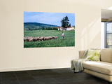 Zemplen Hills Sheep and Shepherd Print by Wade Eakle