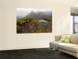 Alpine Heath and Quartzite Outcrops in Frankland Range Art par Grant Dixon
