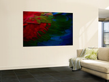 Macaw Plumage Detail Prints by Diego Lezama