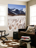Snow Pinnacles ('Penitientes') at Rio Colorado Headwaters, Cerro Mercedario (6770M) in Background Posters par Grant Dixon