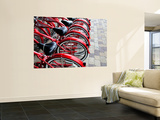 Red Bicycles for Hire Láminas por David Ryan