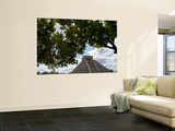 El Castillo, Pyramid of Kukulkan Prints by Sabrina Dalbesio