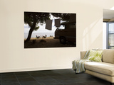 Campers Relaxing by Sea Near Zavala Prints by Will Salter