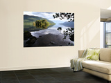 Tarbet Isle on Loch Lomond, Loch Lomond and the Trossachs National Park Prints by Feargus Cooney