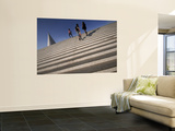 Detail of Ciudad De Las Artes Y Las Ciencias Posters by Krzysztof Dydynski
