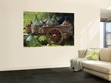 Discarded Wine Demijohns in Cart at Villa a Sesta Print by Rocco Fasano