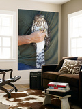Prior to Release, Cooper's Hawk Is Displayed by Volunteer at Hawk Hill, Marin Headlands Prints by Judy Bellah