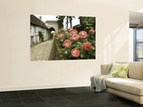 Roses and Archway on Rue Du Chateau in Gerberoy Prints by Barbara Van Zanten