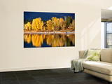 Autumn Colours on Shore of Lake Payette Arte por David Ryan