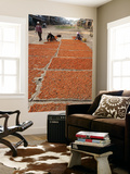 Shrimp Drying in Village on Tonle Sap Lake Prints by Ariadne Van Zandbergen