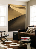 Hiker on Stovepipe Wells Sand Dunes Prints by Tyler Roemer