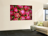 Dragon Fruit for Sale at Market Posters by Tony Burns