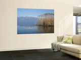 Lake Ohrid Shore with Macedonian Mountains in Background Prints by Patrick Syder