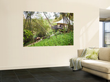 Accomodation at Four Seasons Tented Camp Posters by Felix Hug