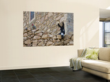 Hen and Donkey, Tizgui, Anti-Atlas Mountains Print by Aldo Pavan