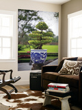 Bonsai Tree at Thai Hoa Palace Prints by Tony Burns