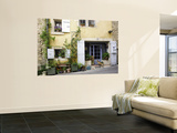 Village House in the Luberon Village of Goult, with Brown Dog Waiting at the Doo Posters by Barbara Van Zanten