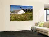 Historic Farm House Surrounded by Wildflowers at End of Pierce Point Road Prints by Emily Riddell