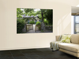 Thatched Cottage with Green Doors in Restored Village of Kerhinet, Briere National Park Prints by Barbara Van Zanten