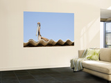 Pelican on Roof. Posters by Sabrina Dalbesio